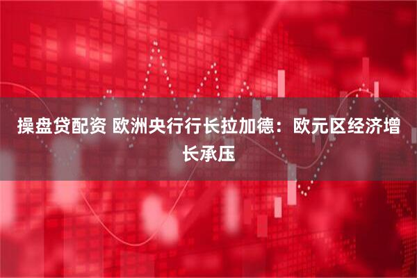 操盘贷配资 欧洲央行行长拉加德：欧元区经济增长承压