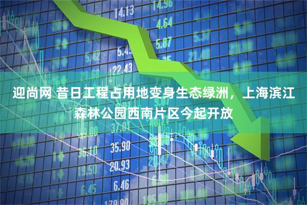 迎尚网 昔日工程占用地变身生态绿洲，上海滨江森林公园西南片区今起开放