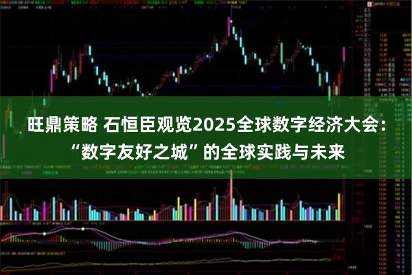 旺鼎策略 石恒臣观览2025全球数字经济大会：“数字友好之城”的全球实践与未来