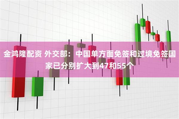 金鸿隆配资 外交部：中国单方面免签和过境免签国家已分别扩大到47和55个