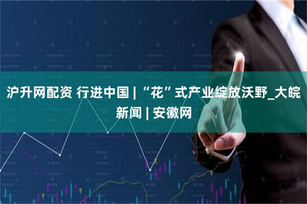 沪升网配资 行进中国 | “花”式产业绽放沃野_大皖新闻 | 安徽网