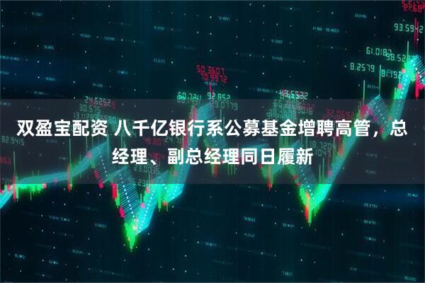 双盈宝配资 八千亿银行系公募基金增聘高管,总经理、副总经理同日履新