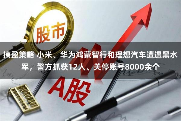 摛盈策略 小米、华为鸿蒙智行和理想汽车遭遇黑水军,警方抓获12人、关停账号8000余个